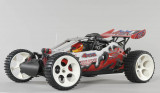 Baja buggy, 2 and 4 wd